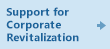 Support for Corporate Revitalization